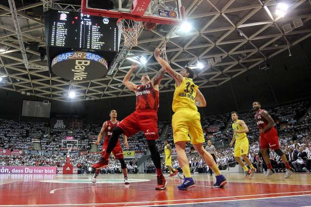 关于陈雨菲 关于陈雨菲